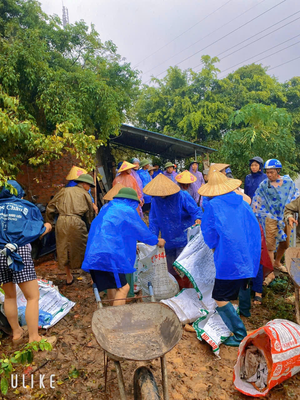 Hình ảnh hoạt động 2